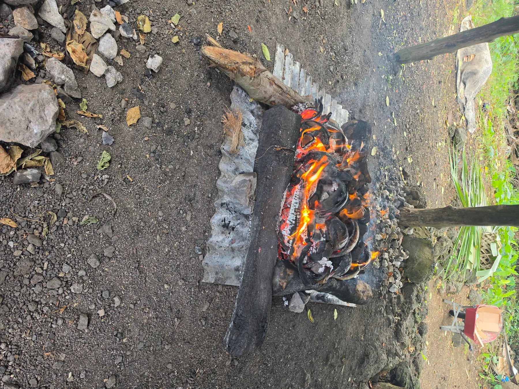 Umu fire being lit for the Sunday To'ana'i at Taufua Beach Fales